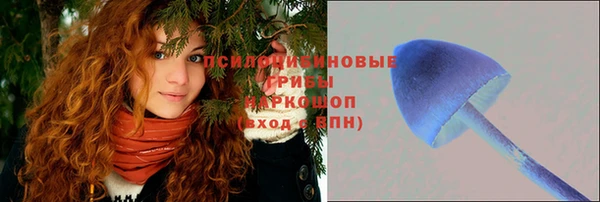 гашишное масло Аркадак