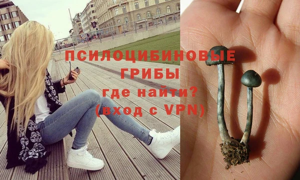 гашишное масло Аркадак