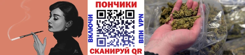 Каннабис индика  Купить закладки  Шали 